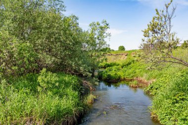 Küçük nehir Baim yaz, Kemerovo bölgesi başında