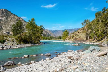 Hızlı dağ nehir Chuya, Argut küme, Altay Cumhuriyeti