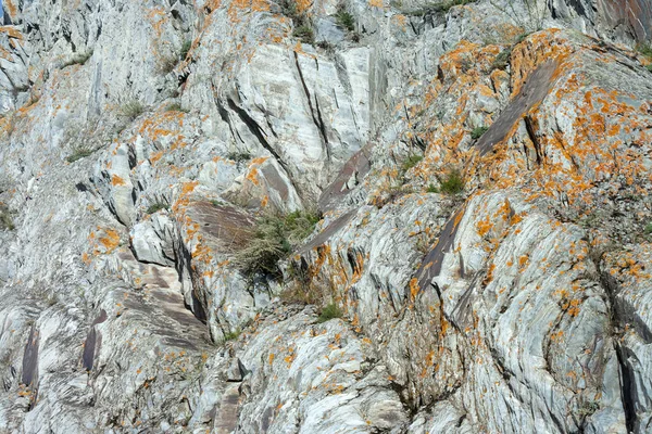 Textura Inusual Roca Nikolsky Tutalsky Rocas Orilla Del Río Siberiano —  Fotos de Stock