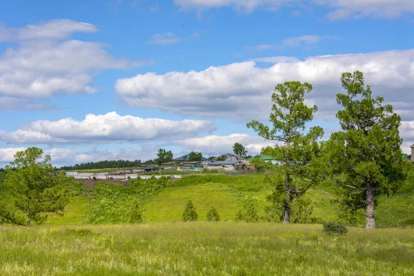 Sibiriska byn Litvinovo i mitten av sommaren — Stockfoto