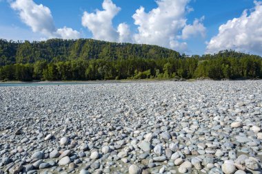  Manzher köyü yakınlarındaki Katun nehri üzerinde büyük çakıl Bankası