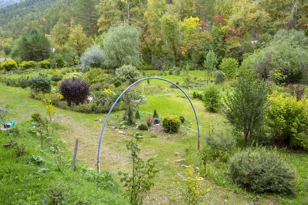 Площа саду з молодими рослинами — стокове фото