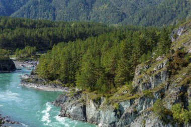 Altai Dağları 'nda Katun Nehri