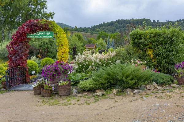 Entré till Arboretum Altai Hillside i slutet av hösten — Stockfoto