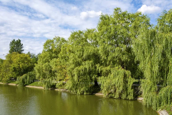 Novodevichy lagoa grande — Fotografia de Stock