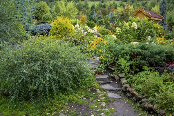 Well-groomed decorative corner of the garden — Stock Photo, Image