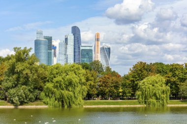 Büyük Novodevichy gölet in kıyısından görünümü