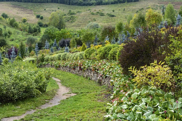 Декоративная дорожка в красивом саду — стоковое фото