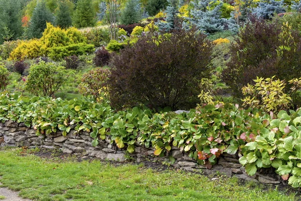 Dekoracyjna ścieżka w pięknym ogrodzie — Zdjęcie stockowe