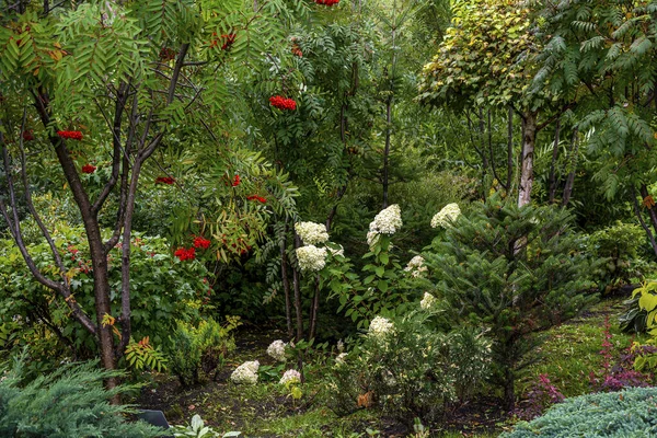 Bien mantenido hermoso rincón del jardín — Foto de Stock