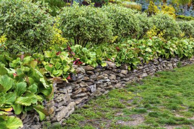 Güzel bir bahçede dekoratif yol