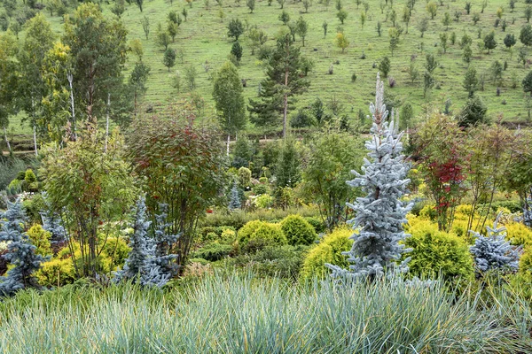 Hermoso jardín cuidado en la ladera — Foto de Stock