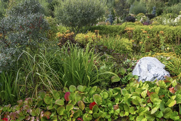 Jalá del jardín con hermosos arbustos exuberantes — Foto de Stock