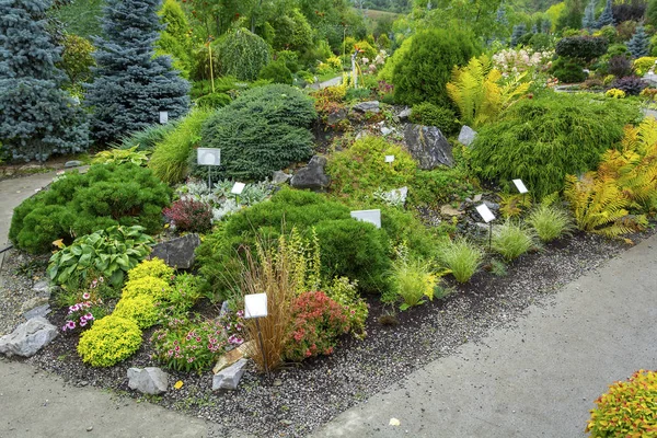 Zadbane ozdobne kącika ogrodu — Zdjęcie stockowe