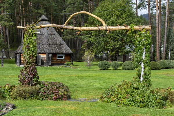 Ail i en vacker trädgård nära skogen — Stockfoto