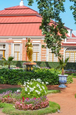 Peterhof, Rusya-15 Ağustos 2019: Aynı isimli sarayın avlusundaki Picturesque Monplaisir bahçesi, Peterhof, Saint Petersburg, Russi