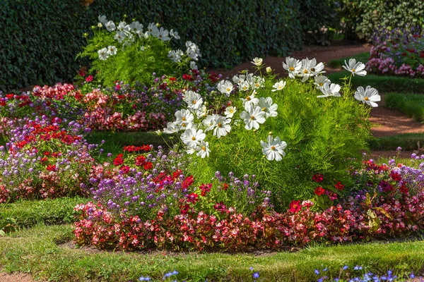 Flower Garden French Style Used Wide Variety Plants — Stock Photo, Image