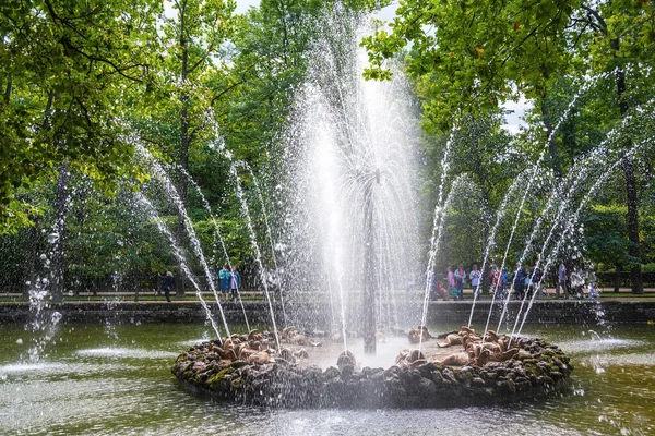 ロシア ピーターホフ2019年8月15日 ロシア サンクトペテルブルクのローワーパークにある太陽の噴水 — ストック写真