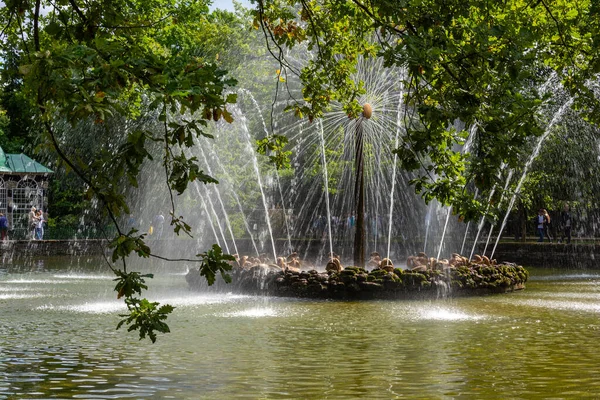 Peterhof Russia Agosto 2019 Stagno Menager Con Fontana Del Sole — Foto Stock