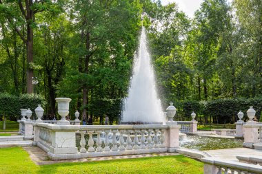 Peterhof, Rusya-15 Ağustos 2019: Aşağı Park, Peterhof, Saint Petersburg, Russi 'deki Piramit Çeşmesi