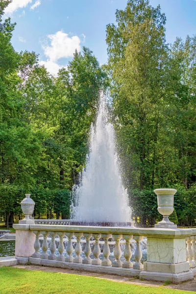 Peterhof Rússia Agosto 2019 Fonte Pirâmide Lower Park Peterhof São — Fotografia de Stock