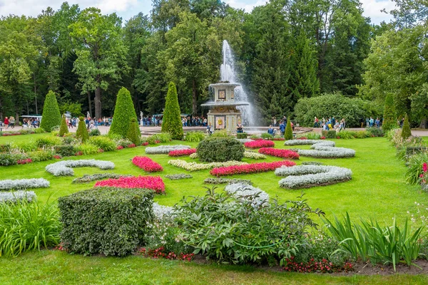 Peterhof Russland August 2019 Blumenparterre Vor Dem Römerbrunnen Unteren Park — Stockfoto
