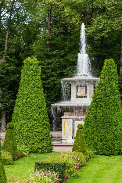 Peterhof, Rusya-15 Ağustos 2019: Roma çeşmesinin önündeki çiçek parkuru Aşağı Park, Peterhof, Saint Petersburg, Russi
