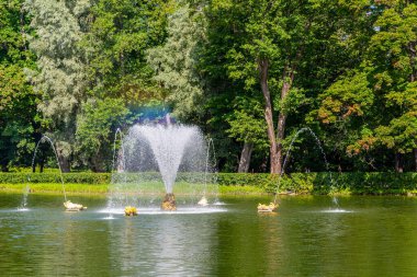 Peterhof, Rusya-15 Ağustos 2019: Aşağı Park, Saint Petersburg, Russi 'de balina çeşmesi ve kum havuzu