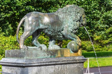Peterhof, Rusya-15 Ağustos 2019: Bronz aslan figürü Aşağı Park, Peterhof, Saint Petersburg, Rusya 'da Aslan şelalesinin bir parçası var.