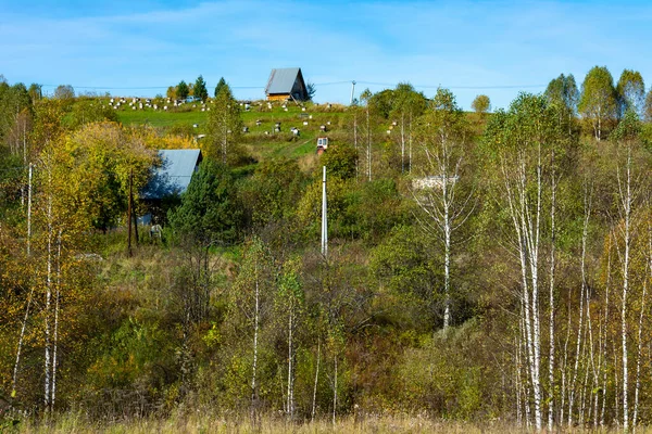 Bienenstand Gornaja Schoria Gebiet Kemerowo Kusbass — Stockfoto