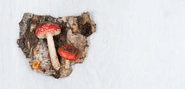 Ahşap arka plan üzerinde orman mantar