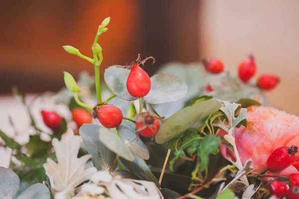 Un mucchio di rosa canina — Foto Stock