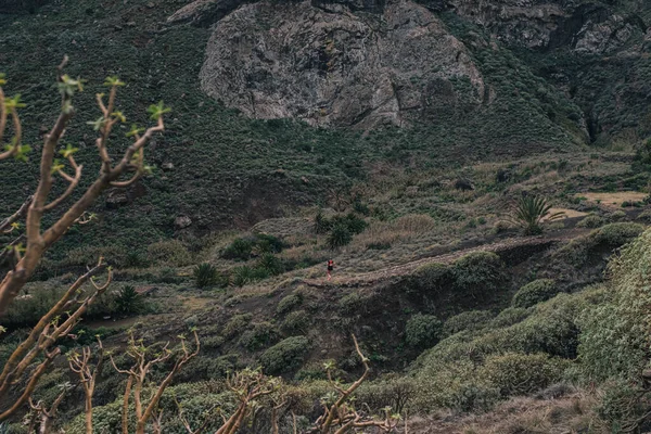 Esporte Running Man Cross Country Trail Run Ajuste Treinamento Masculino — Fotografia de Stock