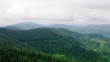 Dağ ormanlarının hava görüntüleri. İnsansız hava aracı dağların üzerinden uçuyor. Dağ manzarası. Karpatlar, Ukrayna