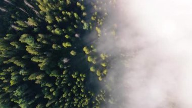 Dağların tepesindeki bulutların arasından uçuyor. Yüksek zirveler harika bir sabah