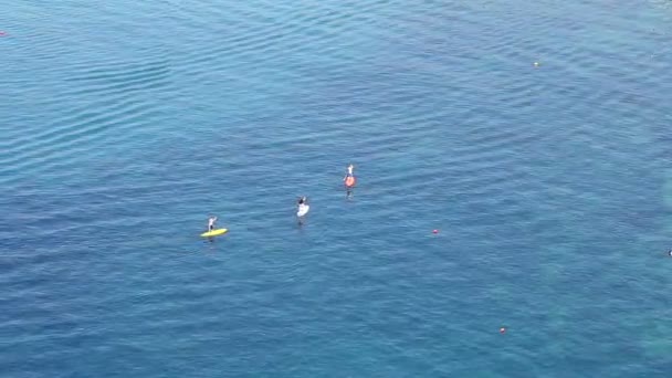 People Stand Paddle Board Sea — Stock Video