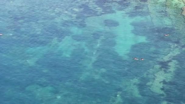 Les Gens Nagent Dans Mer Vue Aérienne — Video