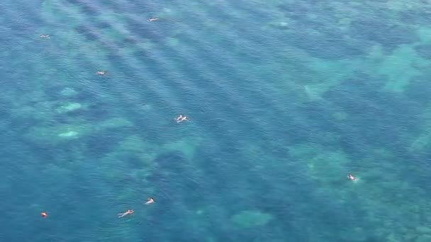Pessoas Nadam Mar Férias Temporada Verão — Vídeo de Stock