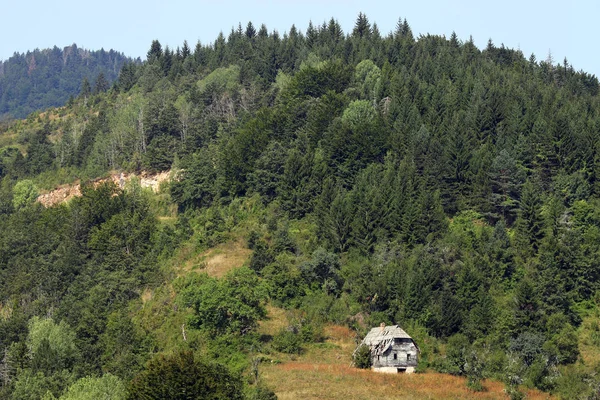 Ruined Cottage Tara Mountain Landscape — Stock Photo, Image
