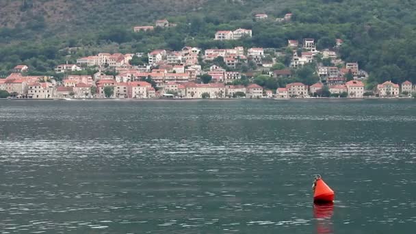 Kotor Bay Montenegro Temporada Verão — Vídeo de Stock