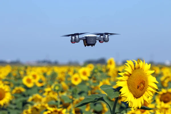 Drone Που Πετούν Πάνω Από Πεδίο Καλοκαιρινή Σεζόν — Φωτογραφία Αρχείου