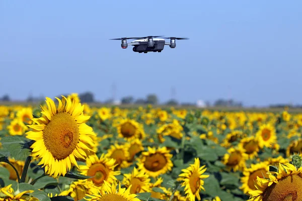 Dron Está Volando Sobre Campo — Foto de Stock