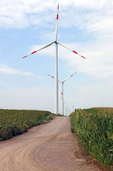 Windturbines Door Het Land Weg Landschap — Stockfoto