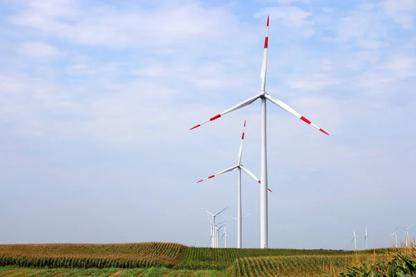 Windturbines Het Landschap Van Veld — Stockfoto