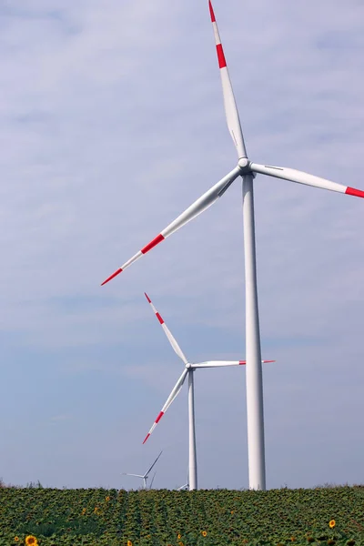 Windturbines Het Landschap Van Zonnebloem Veld — Stockfoto