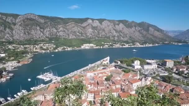 Kotor Panorama Bay Stare Miasto — Wideo stockowe