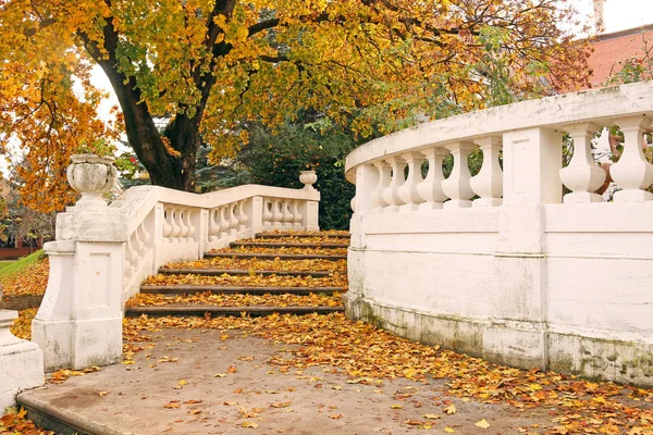 秋天落叶的老石梯 — 图库照片
