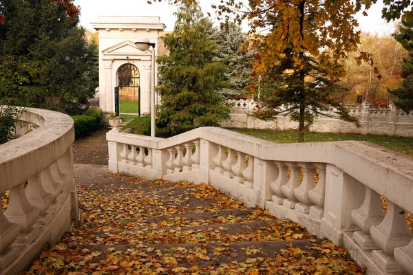 Старая Каменная Лестница Опавшими Листьями Парке Осенний Сезон — стоковое фото