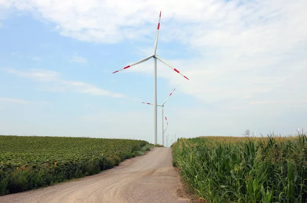 Windturbines Hernieuwbare Enegry Platteland Landschap — Stockfoto