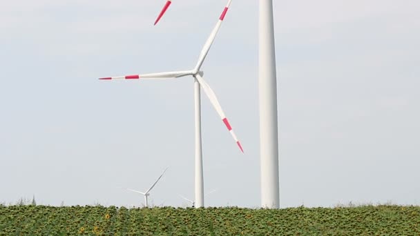 Turbiner Och Energi Vindkraftsindustrin — Stockvideo